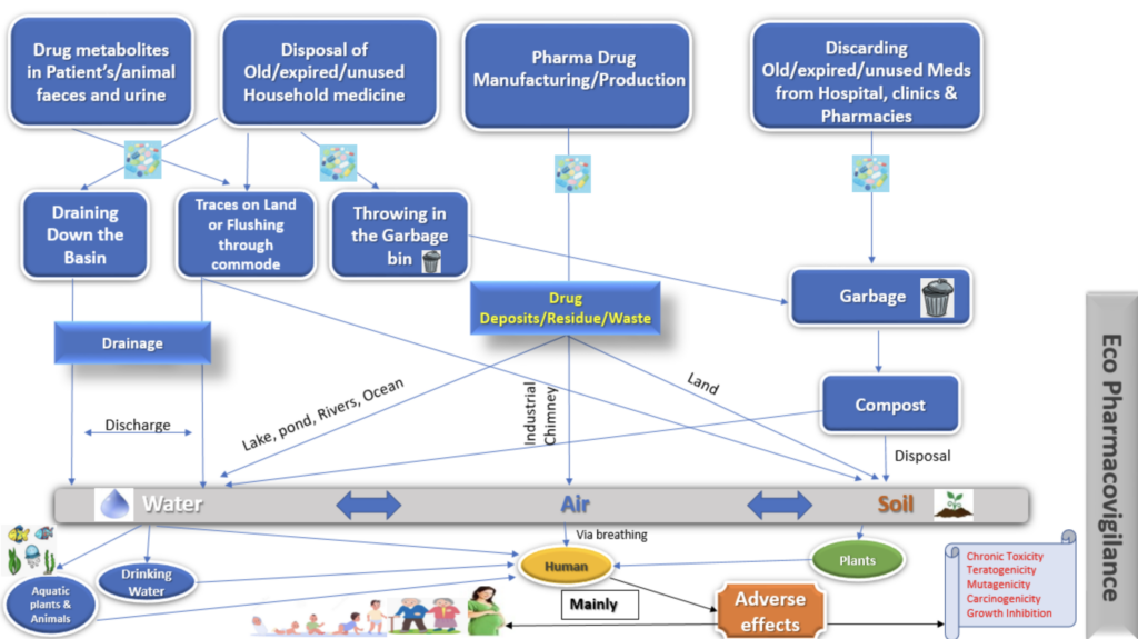 ecopharmacovigilance (EPV)